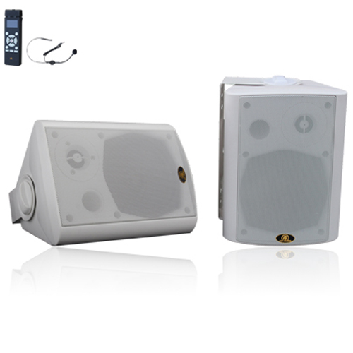 2.4G Wireless Speaker with Built-in Amplifier