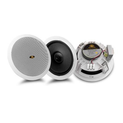 6inch Dual-cone Dynamic Ceiling Speaker RH-T13