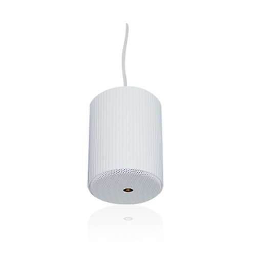 Aluminum Hanging Pendant Speaker RH-SL02