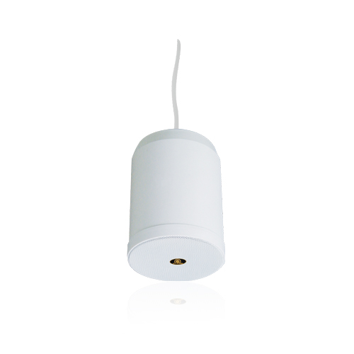 Commercial Pendant Speaker RH-SL08